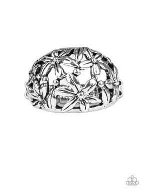 Paparazzi Ring (R214)